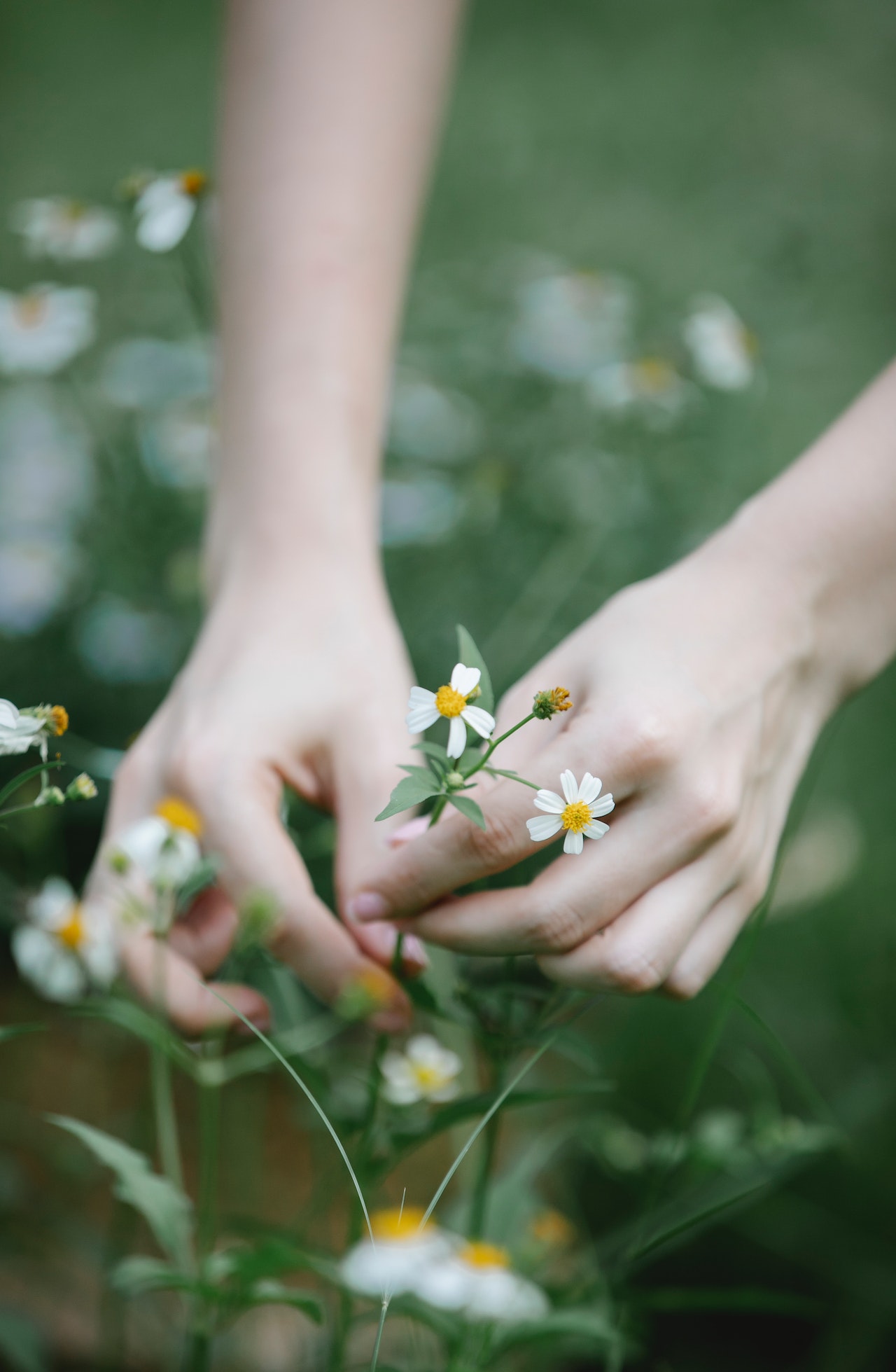 Réduire le stress, aller mieux, trouver l'équilibre, se soigner au naturel avec la naturopathie par Sophie-Caroline Chancel à Paris